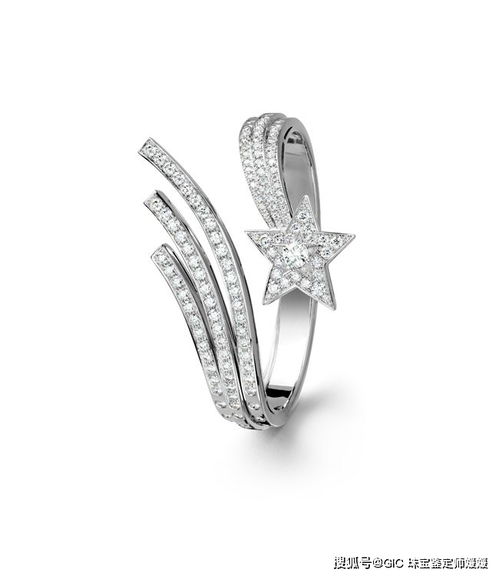 璀璨雙生 一位設(shè)計師與投資家的珠寶傳奇，以匠心工藝鑄就奢侈品帝國