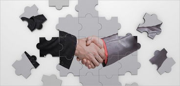 湖南軟件外包服務市場 探尋專業程度高的服務公司